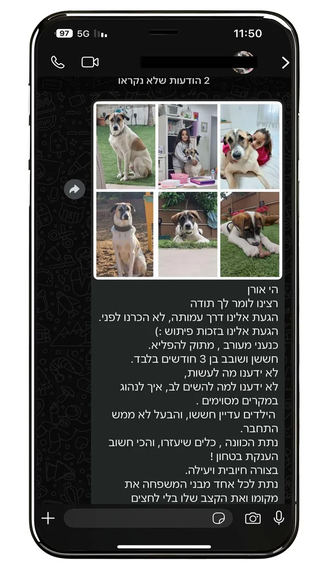 המלצת לקוחה על אימוץ גור כנעני: הגעת אלינו דרך עמותה, כנעני מעורב, מתוק להפליא. נתת כיוון, כלים שיעזרו, ובעיקר העניקת ביטחון. נתת לכל אחד מבני המשפחה את מקומו ואת הקצב שלו בלי לחצים.